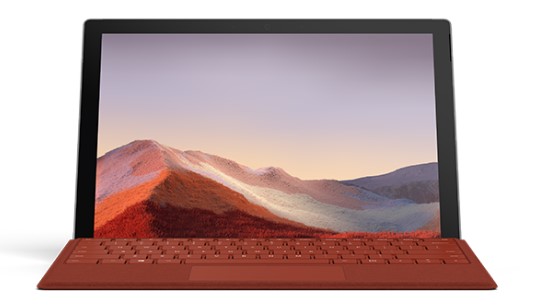罗庄清洁和维护 Surface
